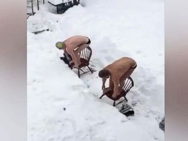 VIDEO: Snow Diving Goes Viral