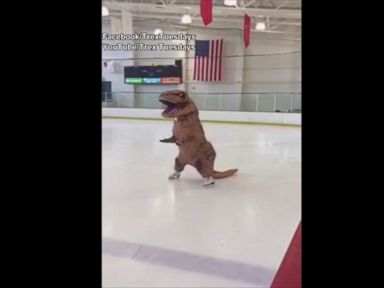 VIDEO: T-Rex Goes Ice Skating in Hilarious Viral Video