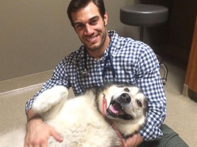 VIDEO: Dr. Evan Antin, of Thousand Oaks, California, has more than 96,000 Instagram followers.