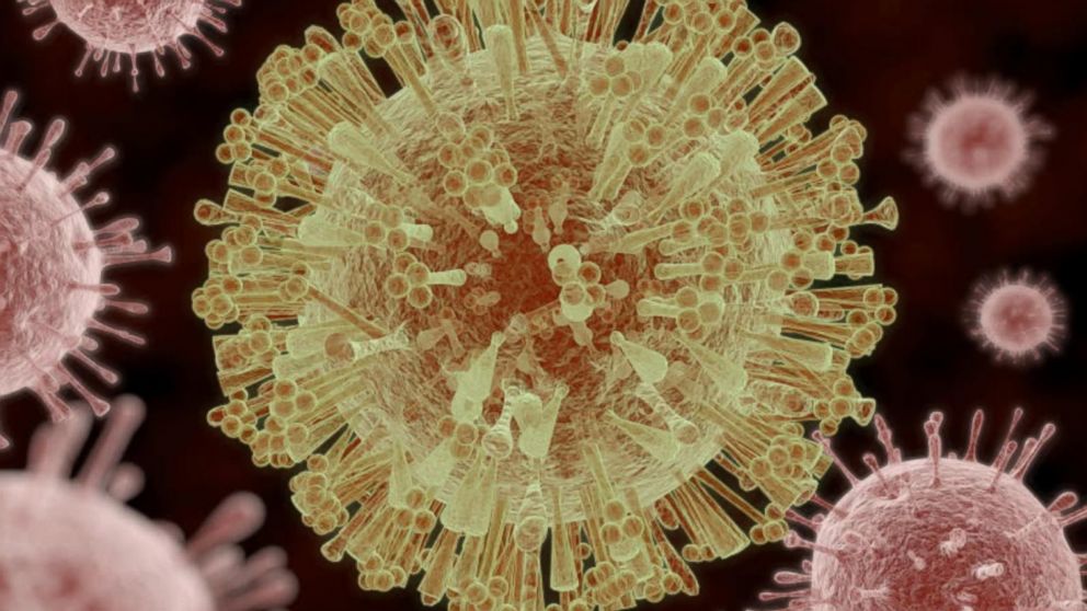 Video Us Reports 1st Case Of Zika Virus Spread Through Sex Abc News 0747