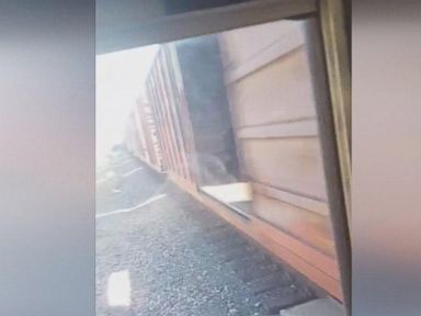 VIDEO: Train Narrowly Misses School Bus in Viral Video 