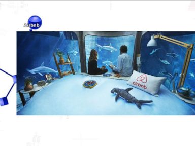 VIDEO: Shark Tank Airbnb Bedroom Lets You Sleep With the Fishes, Literally