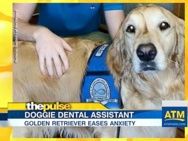 VIDEO: A golden retriever named Jo Jo helps ease children's anxiety at Pediatric Dentistry of Northbrook in Illinois.