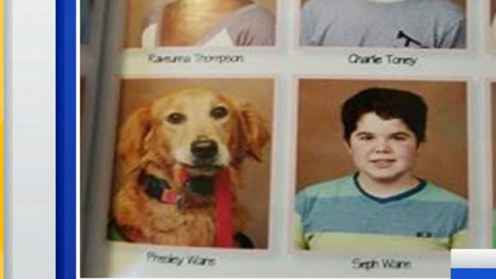 funny yearbook pictures dog