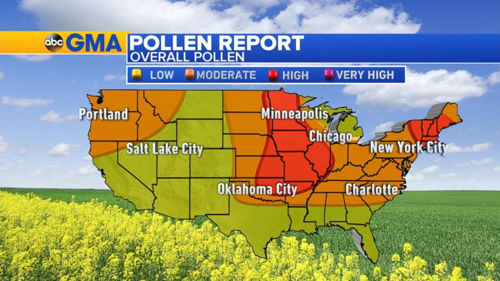 High Pollen Count From the Plains to the Northeast Video ABC News