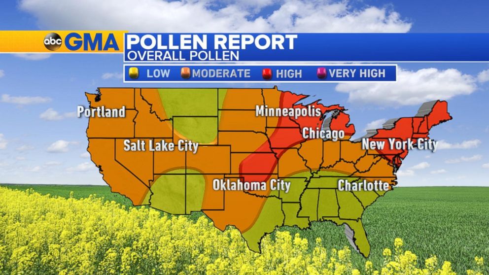 Video High Pollen Across the Plains and Northeast ABC News