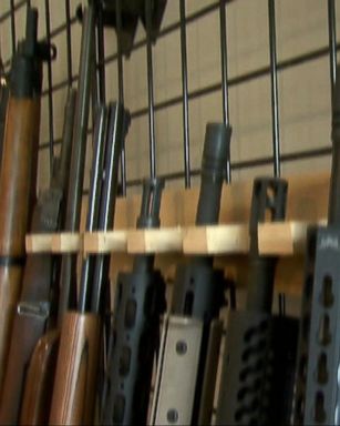 VIDEO: US Senate to Vote on Gun Control Today