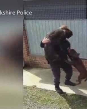 VIDEO: Police Dog Leaps Happily Into Handler's Arms After Two Weeks Apart