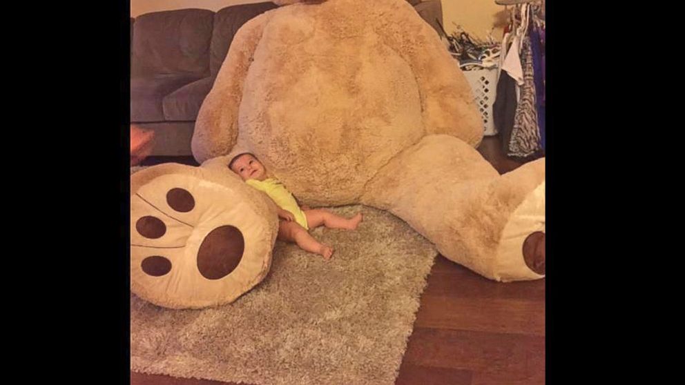 Viral Teddy Bear on  Has Enormous Legs