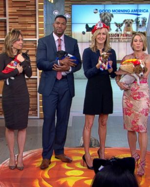 VIDEO: 'Mission PAWsible': 'GMA' Launches Doggie Adopt-a-Thon 