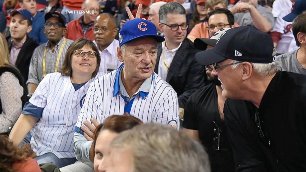 Bill murray cubs store shirt