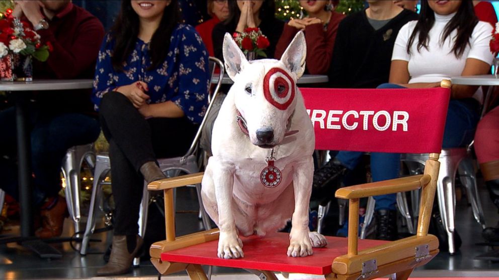 'Bullseye,' the Target Dog, Appears Live in Times Square Video - ABC News