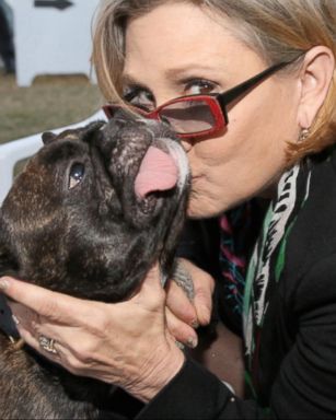 VIDEO: Carrie Fisher Reported to Suffer Cardiac Arrest on Trans-Atlantic Flight