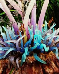 The 'Avatar' movie comes to life at Disney World