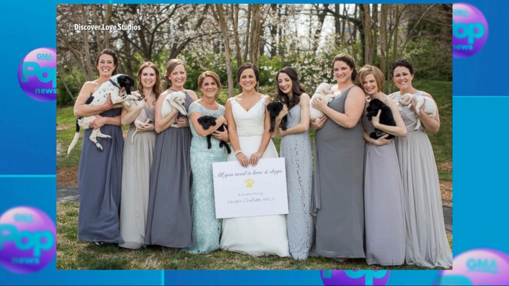 North Carolina Bridesmaids Trade Bouquets For Rescue Puppies In Wedding Photos Abc News