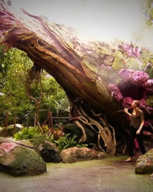 VIDEO: Inside Pandora: The World of Avatar at Disney World