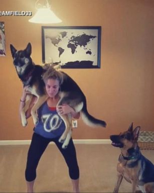 VIDEO: 'Squat your dog challenge' goes viral 