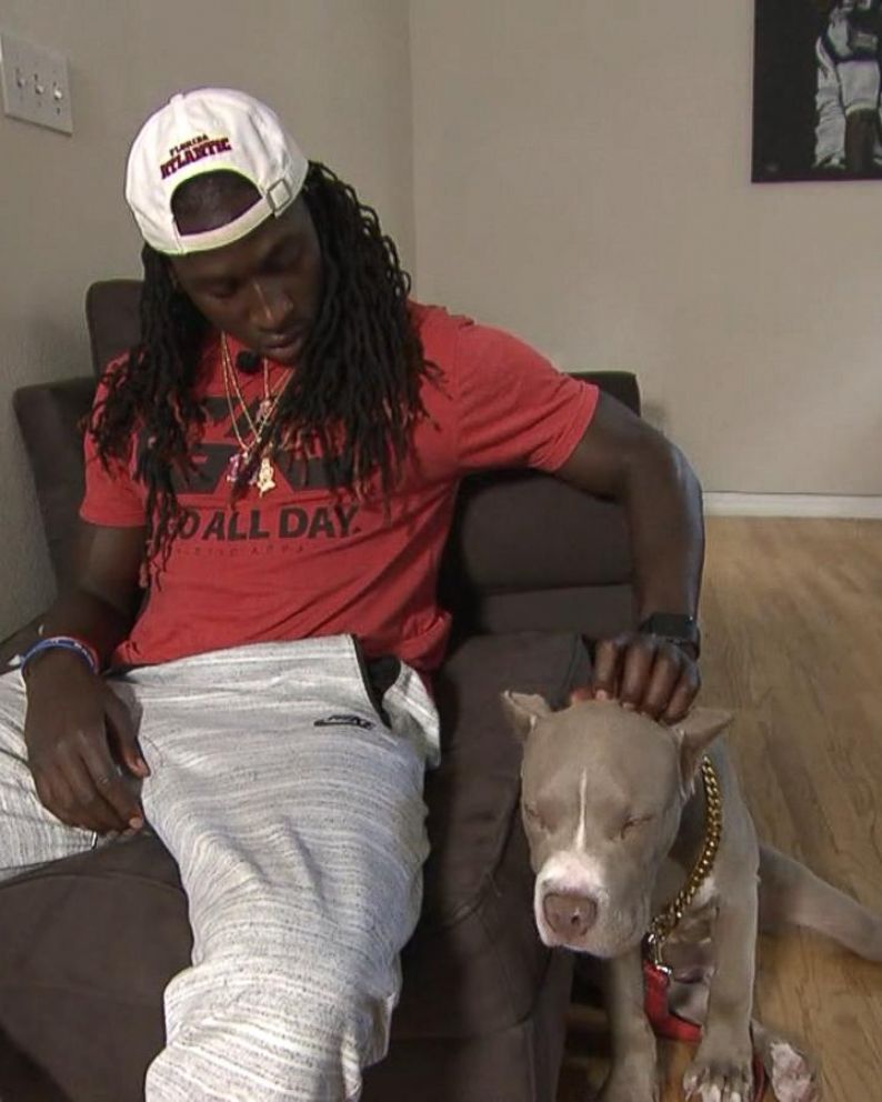 Cowboys' Lucky Whitehead: Stolen dog is safely back home – The Denver Post