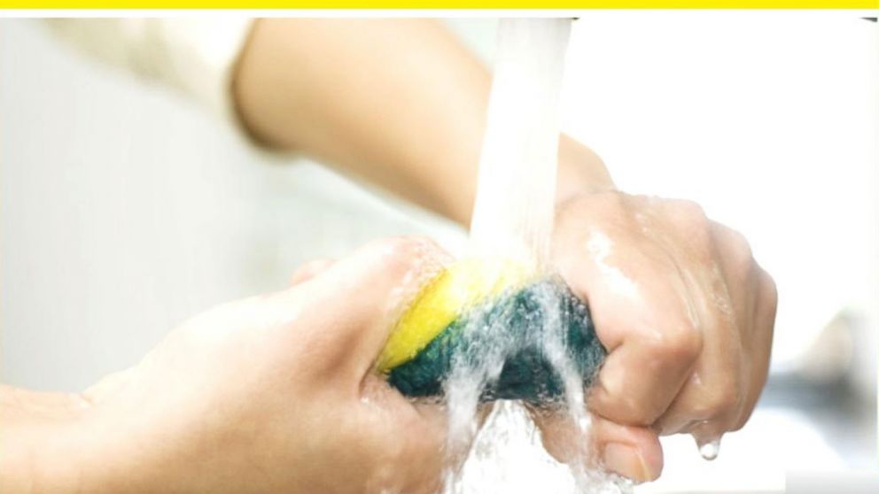 how to keep sponges clean