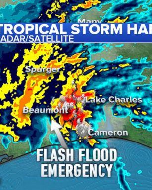 VIDEO: Harvey expected to move north after hitting Louisiana 