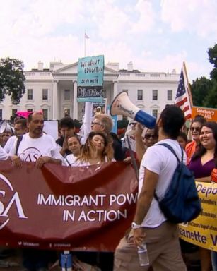 VIDEO: Trump faces backlash over plan to end DACA