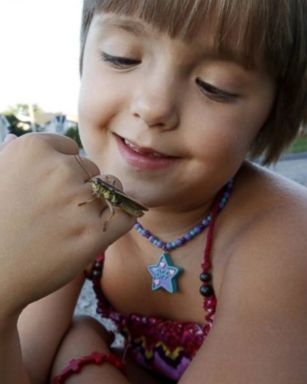 VIDEO: Sophia Spencer of Ontario, Canada, co-authored an article with a Ph.D. student after her mom's plea to entomologists went viral.