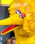 Sesame Street' introduces Julia's family, rolls out new resources for  families in honor of Autism Awareness Month - ABC News