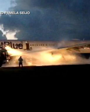 VIDEO: Bird strike forces flight emergency 