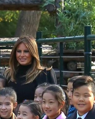 VIDEO: Beijing Zoo panda 'photobombs' Melania Trump 