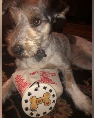 Orlando Ippolito and Otis Williams surprised their favorite dog Lucky with a personalized Christmas ornament for the holidays.