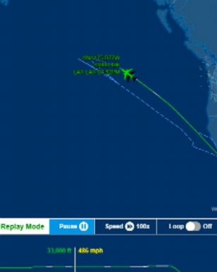 VIDEO: Security breach forces plane to turn around mid-flight 