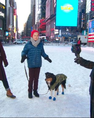 VIDEO:Tips to keep your kids, pets warm in arctic temperatures