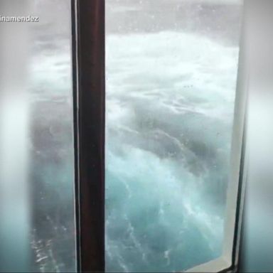 VIDEO: Video captures cruise ship tossed around after sailing through East Coast 'bomb cyclone'