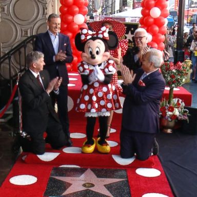 VIDEO: Minnie Mouse reacts to getting a star on the Hollywood Walk of Fame