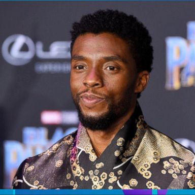 VIDEO: Rave reviews for the premiere of Marvel's 'Black Panther'