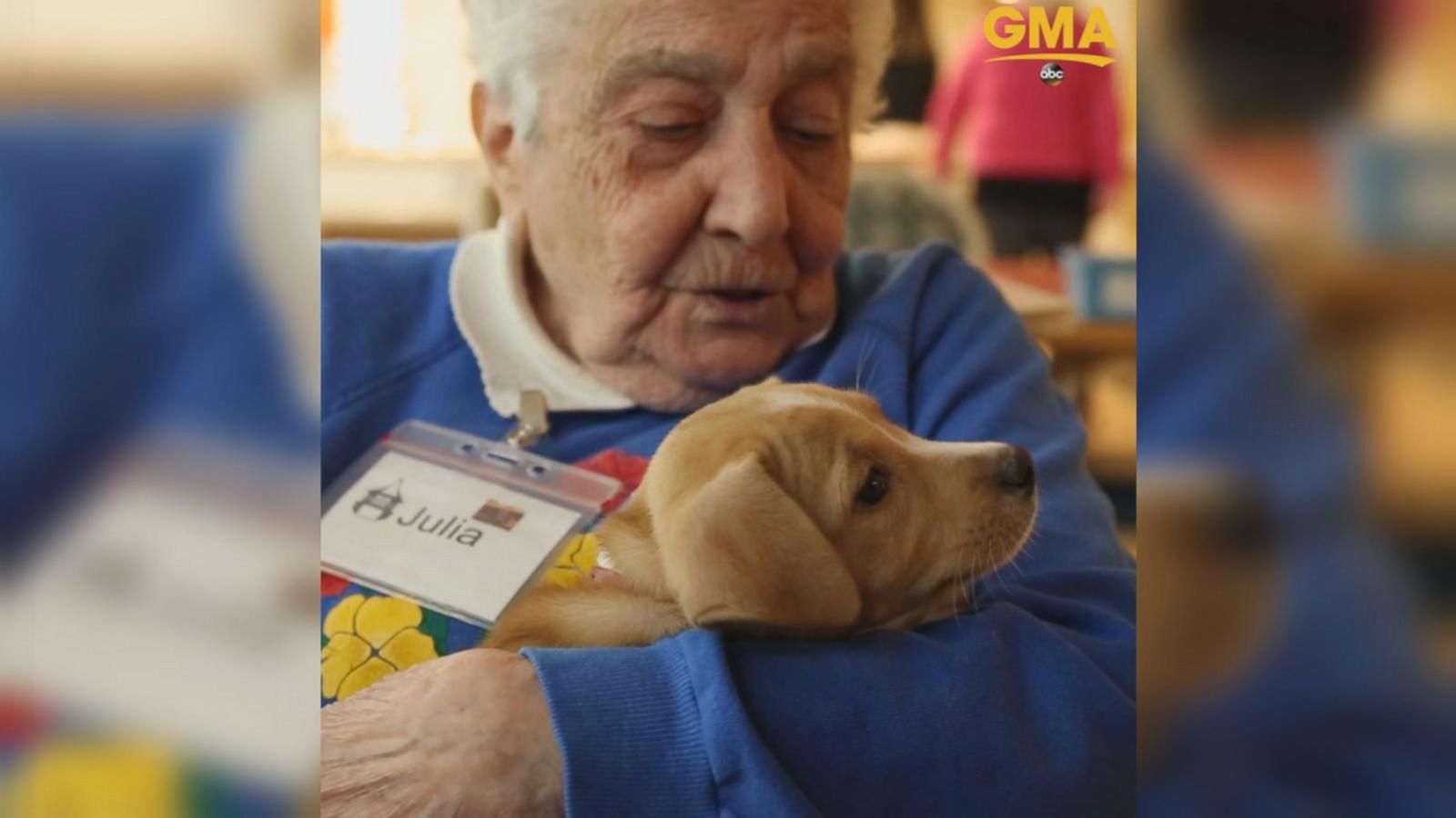 VIDEO: Adoptable puppies help local seniors living with dementia and Alzheimer's