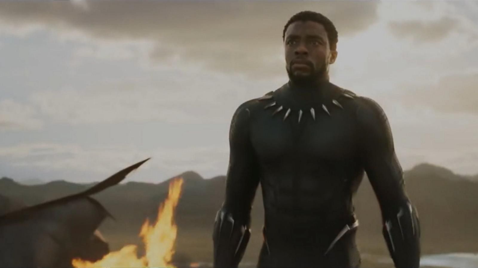 VIDEO: Marvel's Black Panther breaking ticket sales records