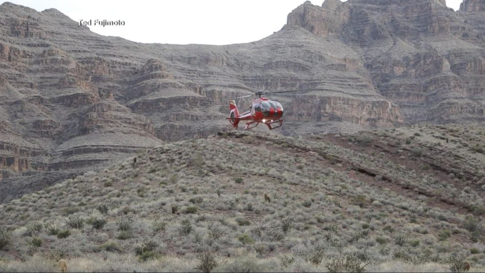 Helicopter crash in Grand Canyon kills 3 Video ABC News