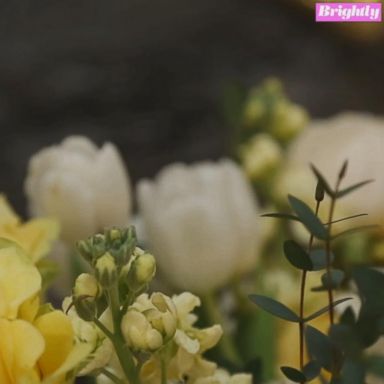 VIDEO: How to pick the perfect flowers for Valentine's Day