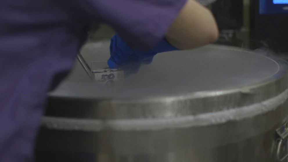 Eggs, sperm and embryos are stored in liquid nitrogen.