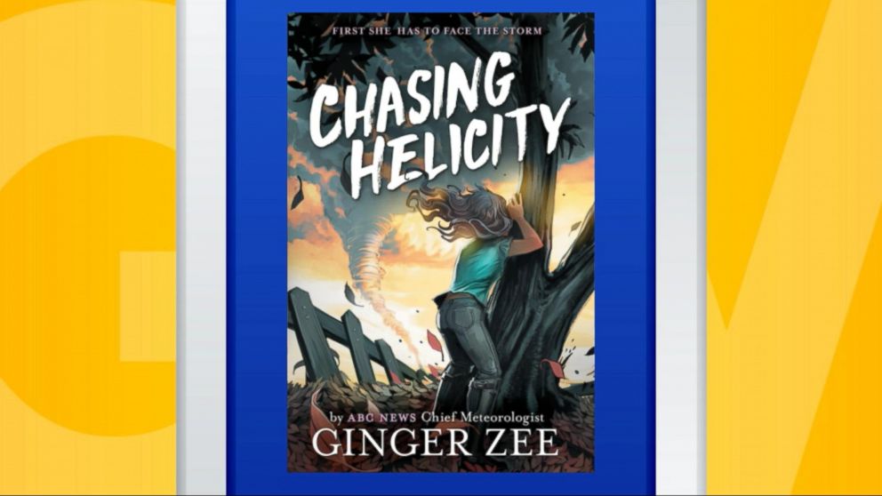 chasing helicity book 2