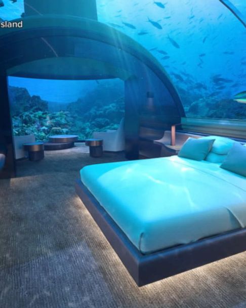 Shark Tank Airbnb Bedroom Lets You Sleep With the Fishes