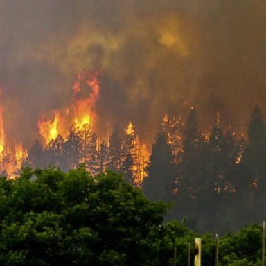 VIDEO: Wildfires burn out of control in the Southwest