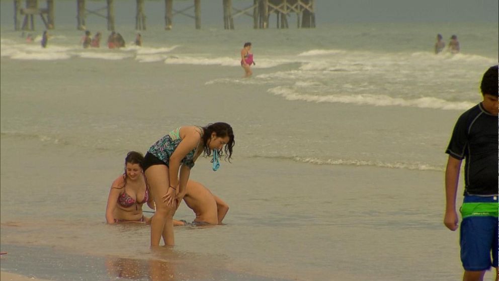 Jellyfish scares prompt new warning for beachgoers Video ...