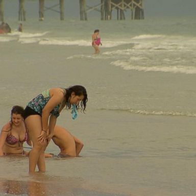 VIDEO: Jellyfish scares prompt new warning for beachgoers