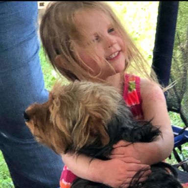 VIDEO: 3-year-old missing girl rescued by family dog