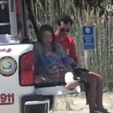 VIDEO: Amid dozens of sightings, girl bitten by shark in Myrtle Beach 