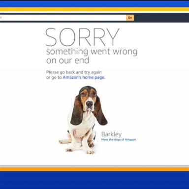 VIDEO: Amazon website crashes at start of Prime Day 