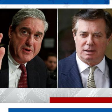 VIDEO: Mueller requests immunity for witnesses in Paul Manafort trial 