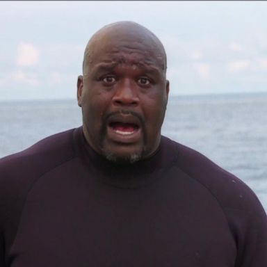 VIDEO: Shaquille O'Neal goes diving with sharks